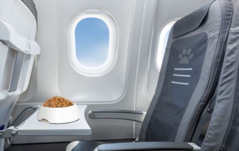 Air Travel and Pets 2021